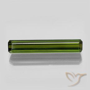 2.70ct Natural Verde floresta Turmalina, Corte Esmeralda, VVS-VS