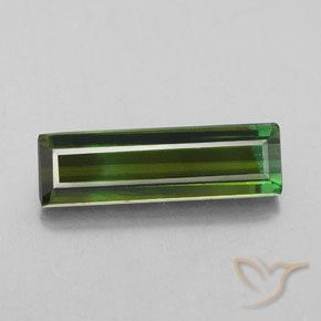 2.92ct Natural Verde floresta Turmalina, Corte Esmeralda, VS-SI