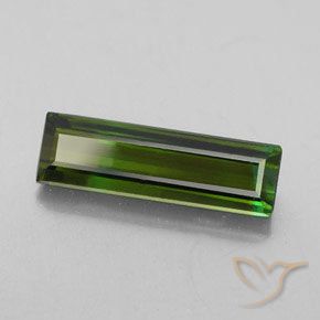Turmalina Verde floresta Natural 2.92ct, Corte Octógono / Esmeralda, VS-SI