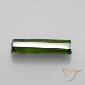 Turmalina Verde floresta Natural 2.92ct, Corte Octógono / Esmeralda, VS-SI