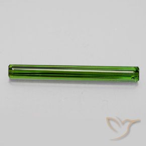 2.49ct Natural Verde floresta Turmalina, Corte Esmeralda, VVS