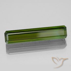 Turmalina Verde Terroso Natural 2.83ct, Corte Octógono / Esmeralda, VS