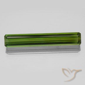 2.47ct Natural Verde floresta Turmalina, Corte Esmeralda, VS-SI