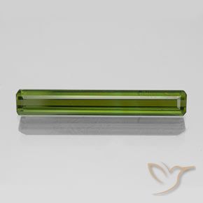 1.65ct Natural Verde médio-escuro Turmalina, Corte Octógono / Esmeralda, VVS, Photo A