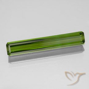 Turmalina Verde escuro Natural 1.51ct, Corte Octógono / Esmeralda, VVS-VS
