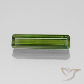 1.45ct Natural Verde floresta Turmalina, Corte Esmeralda, SI