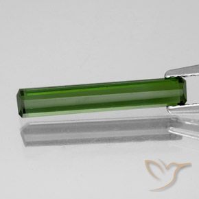 Turmalina verde escuro Natural 1.37ct, Corte Octógono / Esmeralda, VVS-VS