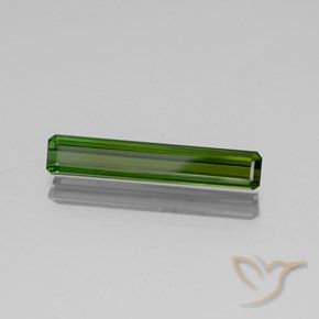 Turmalina Verde floresta Natural 2.82ct, Corte Octógono / Esmeralda, SI