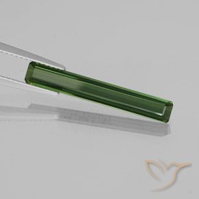 Turmalina Floresta Profunda Verde Natural 2.21ct, Corte Octógono / Esmeralda, VVS