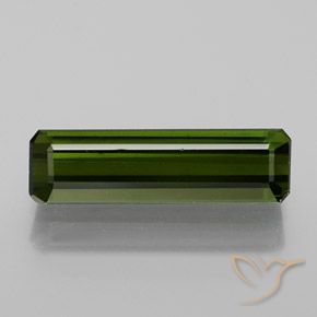 1.62ct Natural Verde floresta Turmalina, Corte Esmeralda, VS