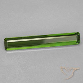 Turmalina Verde floresta Natural 1.69ct, Corte Octógono / Esmeralda, VVS-VS