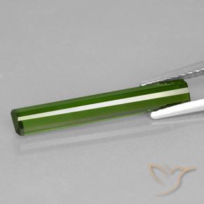 Turmalina Verde floresta Natural 1.69ct, Corte Octógono / Esmeralda, VVS-VS