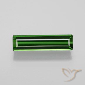 1.60ct Natural Verde floresta Turmalina, Corte Esmeralda, VVS