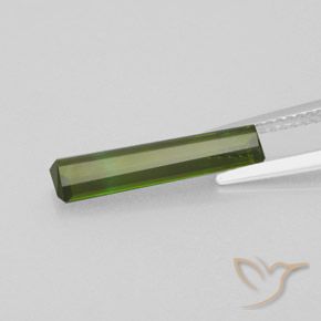 Turmalina Verde médio Natural 1.81ct, Corte Octógono / Esmeralda, VVS
