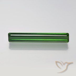1.54ct Natural Verde floresta Turmalina, Corte Esmeralda, VVS-VS