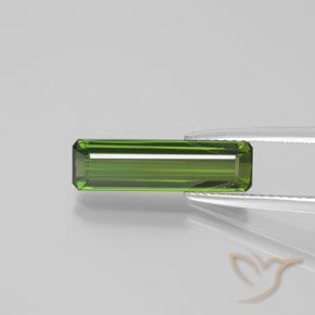 2.38ct Natural Verde floresta Turmalina, Corte Esmeralda, VS