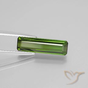 Turmalina Verde floresta Natural 2.38ct, Corte Octógono / Esmeralda, VS