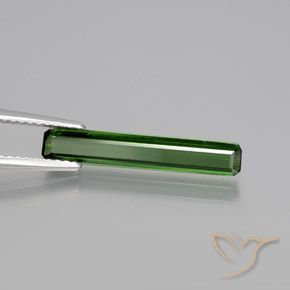 Turmalina Verde escuro Natural 1.67ct, Corte Octógono / Esmeralda, VVS-VS