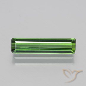 1.58ct Natural Verde floresta Turmalina, Corte Esmeralda, VS