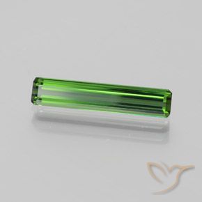 Turmalina Verde escuro Natural 1.45ct, Corte Octógono / Esmeralda, VVS-VS