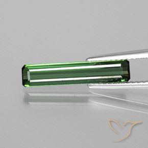 1.50ct Natural Verde Floresta Legal Turmalina, Corte Esmeralda, VS