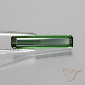 Turmalina Verde Floresta Legal Natural 1.50ct, Corte Octógono / Esmeralda, VS