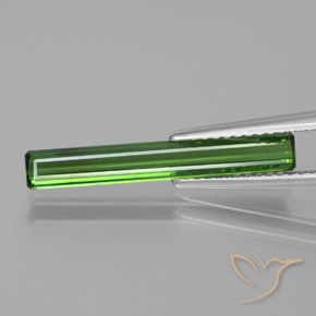 1.53ct Natural Verde floresta Turmalina, Corte Esmeralda, VS