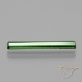 Turmalina Verde floresta Natural 1.53ct, Corte Octógono / Esmeralda, VS