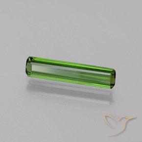 Turmalina Verde floresta Natural 1.18ct, Corte Octógono / Esmeralda, VVS-VS