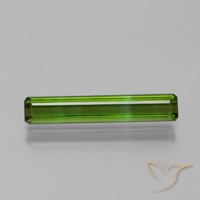 1.33ct Natural Verde floresta Turmalina, Corte Esmeralda, VVS-VS