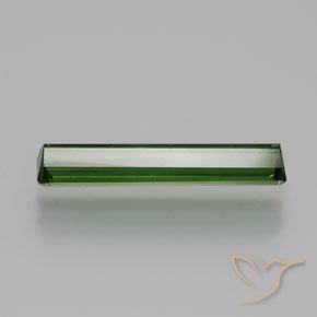 Turmalina Verde escuro Natural 1.73ct, Corte Octógono / Esmeralda, VVS-VS