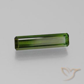 Turmalina Verde Terroso Natural 1.80ct, Corte Octógono / Esmeralda, VVS