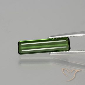 1.15ct Natural Verde floresta Turmalina, Corte Esmeralda, VS
