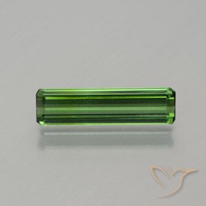 1.17ct Natural Verde floresta Turmalina, Corte Esmeralda, VS