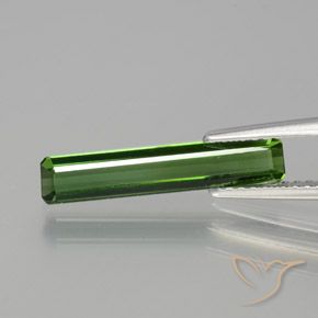 1.45ct Natural Verde escuro Turmalina, Corte Esmeralda, VVS-VS