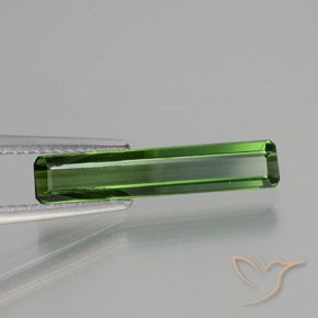 Turmalina Verde escuro Natural 1.45ct, Corte Octógono / Esmeralda, VVS-VS