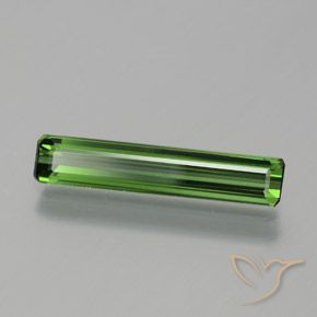 Turmalina Verde floresta Natural 1.35ct, Corte Octógono / Esmeralda, VVS-VS