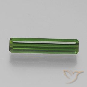 1.75ct Natural Verde floresta Turmalina, Corte Esmeralda, VVS