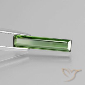 Turmalina Verde médio Natural 1.13ct, Corte Octógono / Esmeralda, VS