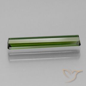 Turmalina Verde Terroso Natural 1.44ct, Corte Octógono / Esmeralda, VVS