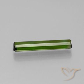 Turmalina Verde floresta Natural 1.35ct, Corte Octógono / Esmeralda, VVS-VS