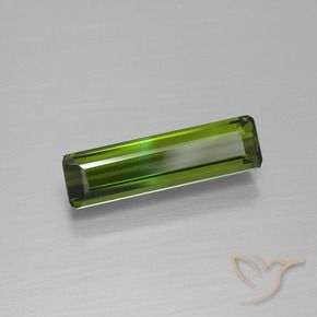 Turmalina Verde floresta Natural 1.33ct, Corte Octógono / Esmeralda, VVS