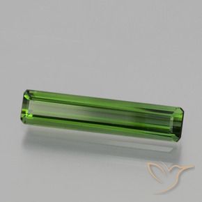 Turmalina Verde floresta Natural 1.21ct, Corte Octógono / Esmeralda, VVS-VS