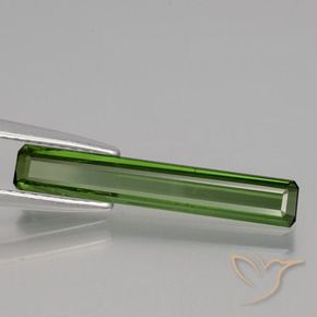 Turmalina Verde floresta Natural 1.47ct, Corte Octógono / Esmeralda, VS