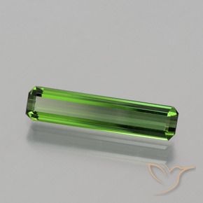 Turmalina Verde Terroso Natural 1.04ct, Corte Octógono / Esmeralda, VVS-VS