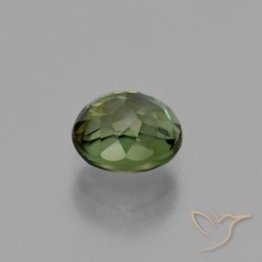 Turmalina Verde escuro Natural 1.26ct, oval, VVS-VS