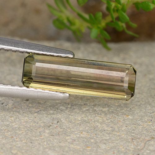 Turmalina bicolor natural 1,72ct, corte esmeralda, VS