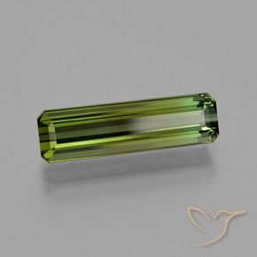 Turmalina verde escuro Natural 2.70ct, Corte Octógono / Esmeralda, VVS-VS