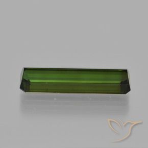 Turmalina Verde floresta Natural 2.77ct, Corte Octógono / Esmeralda, VS