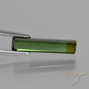 Turmalina Verde Terroso Natural 1.52ct, Corte Octógono / Esmeralda, VS-SI